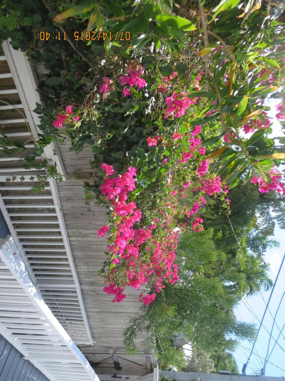 Mini-hôtel The On Fleming Key West